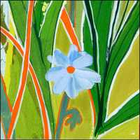 Set The Record Straight